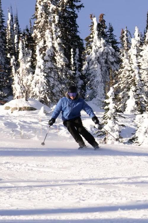 Esquiador descendo pista entre pinheiros cobertos de neve